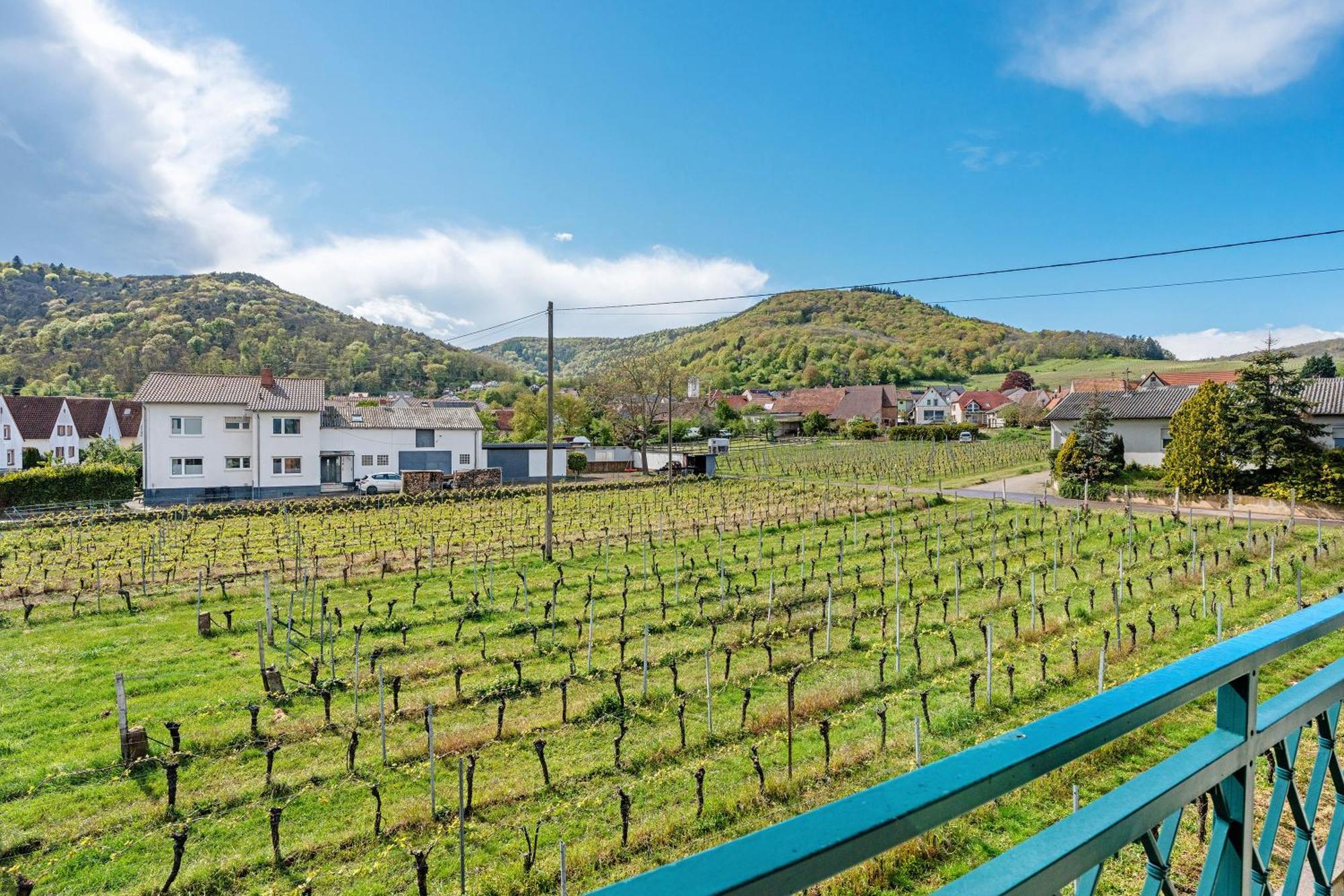 Weingut Loewenthal Eschbach (Sudliche Weinstrasse)