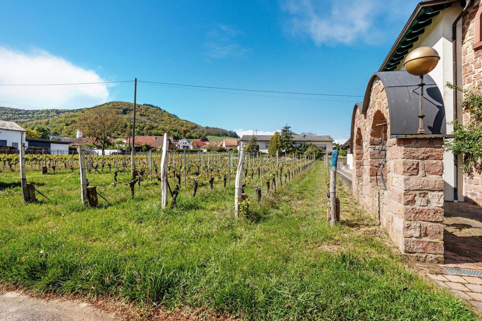 Apartment Weingut Loewenthal *